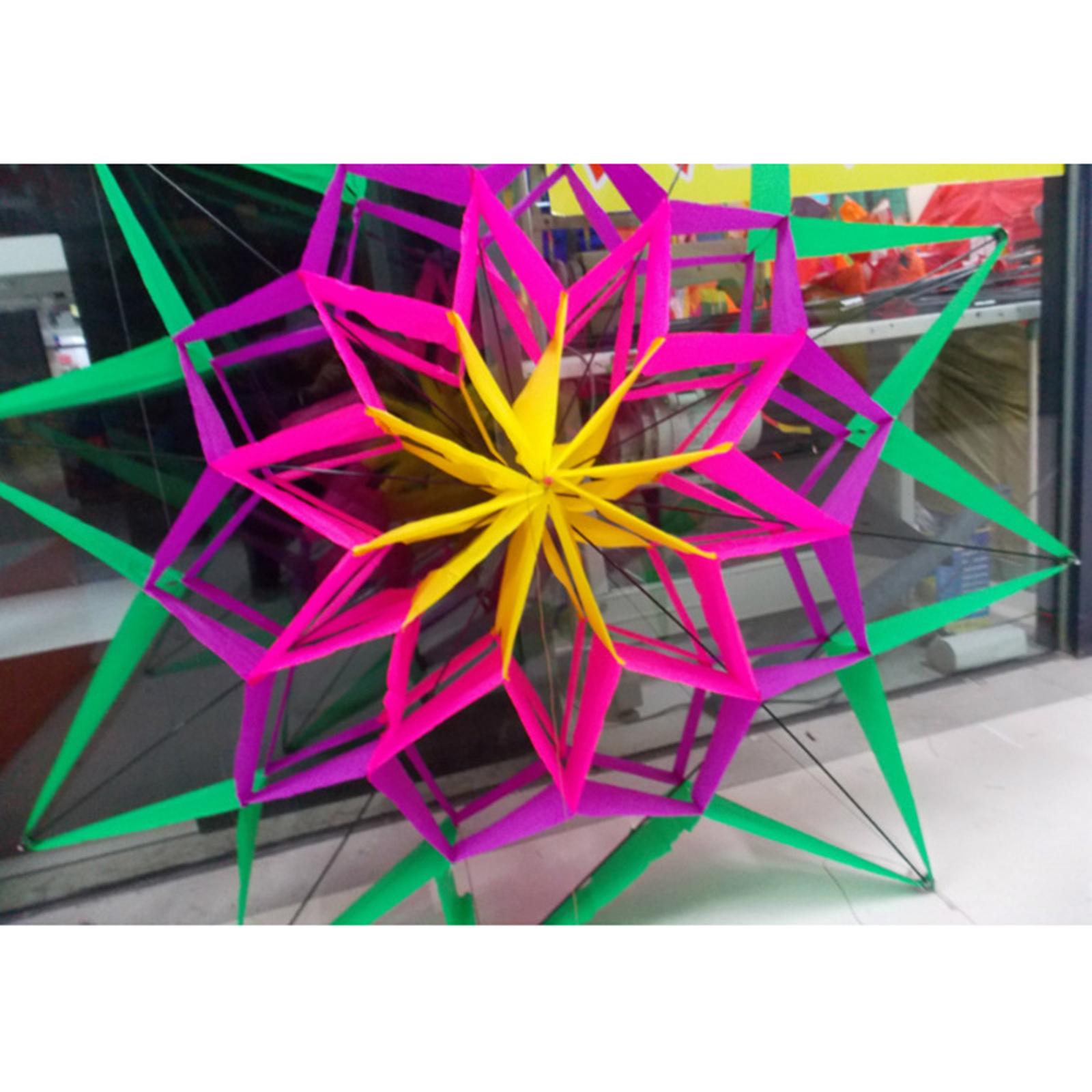 Outdoor Camping Games For Kids - Large Kite 3D Plum Kite Long