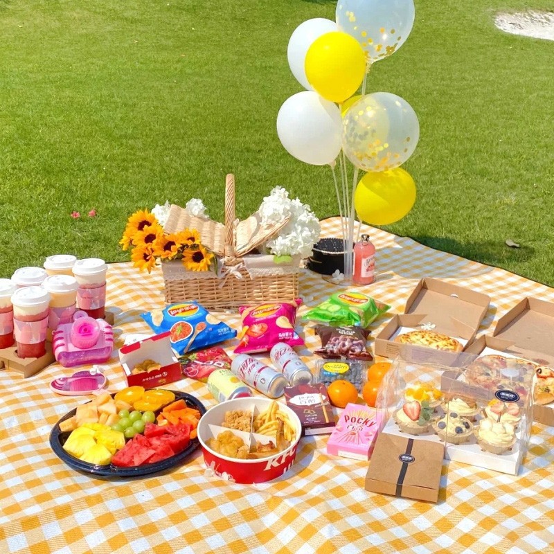 200x200cm Extra Large Picnic M - Outdoor Camping Rugs review and price