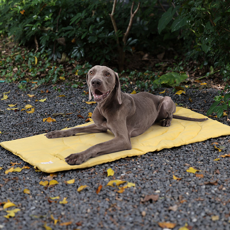 Portable Pet Mat Foldable Pet  - Outdoor Camping Rugs review and price