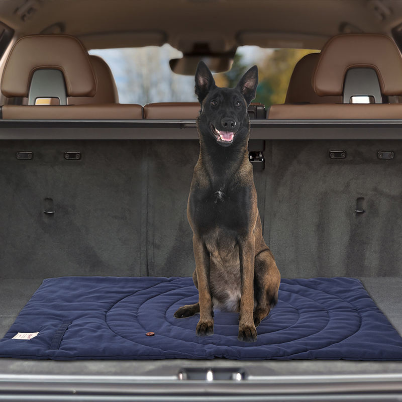 Portable Pet Mat Foldable Pet  - Outdoor Camping Rugs review and price